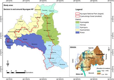 Community livelihoods and forest dependency: Tourism contribution in Nyungwe National Park, Rwanda